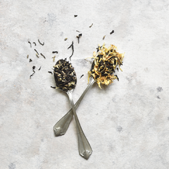 YAŬZO TEA SCHOOL - comprar online