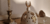 Banner de Chir