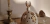 Banner de Chir