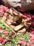 RIO - tienda online