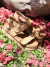 RIO - tienda online
