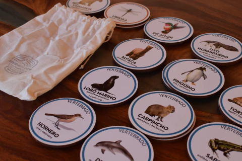 Test de memoria con ANIMALES - comprar online