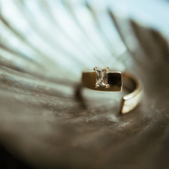 anel Serena - comprar online