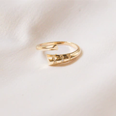 anel ajustável cravejado de zircônias banhado à ouro 18K Lyra - comprar online