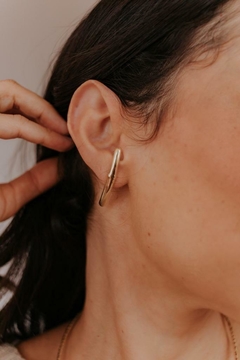 brinco earhook liso na internet