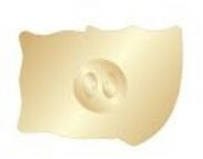PIN IPSC/BRASIL - comprar online