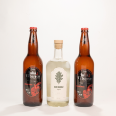 COMBO GIN BERRIZ + JULIA & ECHARREN - comprar online