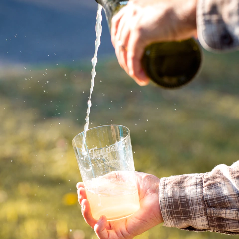 15% OFF PROMO TXAPELA + VASOS SIDREROS -