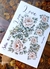 NUEVO TRANSFER COLOR. OURHOBBY. Suculentas y Flores blancas (A4) - comprar online