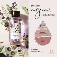 Natura Aguas jabuticaba 150ml - comprar online