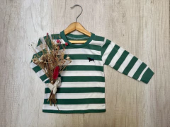 REMERA RAYADA VERDE Y BLANCA - comprar online
