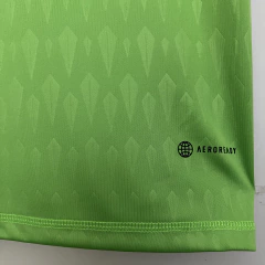 CAMISA DA ARGENTINA - GOLEIRO - VERDE 22/23 - loja online