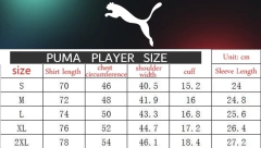 CAMISA DO MANCHESTER CITY VERSÃO JOGADOR - HOME 24/25 na internet