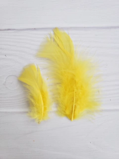 Pluma Gallito x50u - comprar online