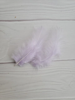 Imagen de Pluma Gallito x50u