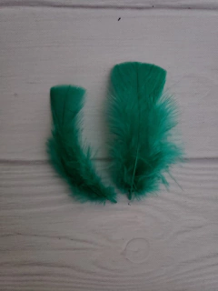 Pluma Gallito x50u - comprar online