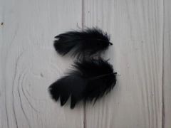 Pluma Gallito x50u - FaisaFlor Lanas