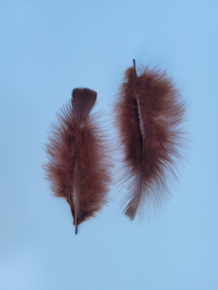 Pluma Gallo Grande x50u - FaisaFlor Lanas