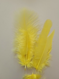 Pluma Gallito x50u