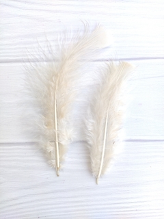 Pluma Gallo Grande x50u