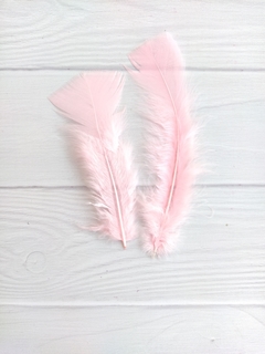 Pluma Gallo Grande x50u en internet