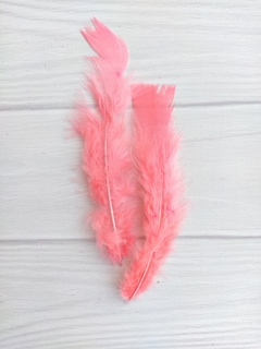 Pluma Gallo Grande x50u - tienda online