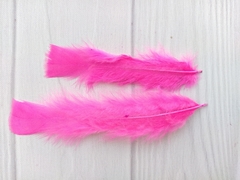 Imagen de Pluma Gallo Grande x50u