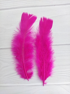 Pluma Gallo Grande x50u
