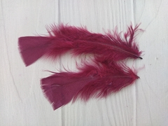 Pluma Gallo Grande x50u - FaisaFlor Lanas