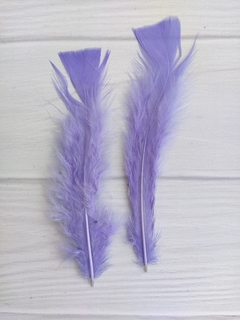Pluma Gallo Grande x50u - tienda online