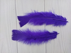 Imagen de Pluma Gallo Grande x50u