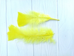 Pluma Gallo Grande x50u
