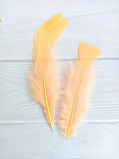 Pluma Gallo Grande x50u en internet