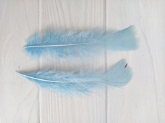 Pluma Gallo Grande x50u - tienda online