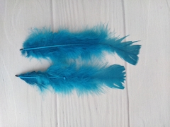 Imagen de Pluma Gallo Grande x50u