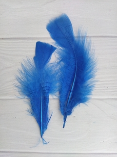 Pluma Gallo Grande x50u