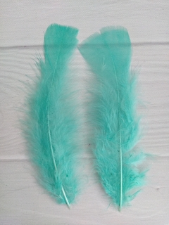 Pluma Gallo Grande x50u en internet