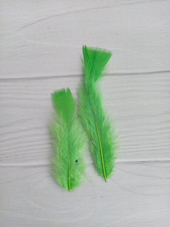 Pluma Gallo Grande x50u - tienda online