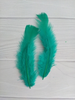 Imagen de Pluma Gallo Grande x50u