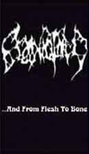 Craniotomy (SLO) ...And From Flesh To Bone