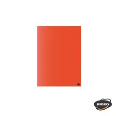 RIDEO CARPETA N°5 3 SOLAPAS C/ELATICO NEON ( - comprar online