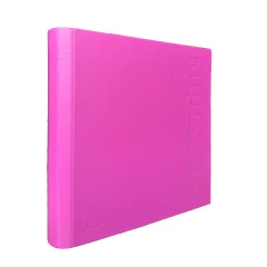 FW CARPETA ESCOLAR 3X40 SHINE - comprar online