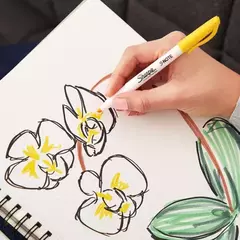 SHARPIE SET CREATIVITY ( 339056 ) en internet