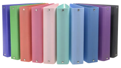 RIDEO CARPETA PVC ESCOLAR 3X40 ( 67623 )