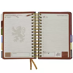 MOOVING AGENDA 2025 HARRY POTTER DIARIA en internet