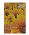 GTC PAPEL FOTOGRAFICO AUTOADHESIVO BRILLANTE A4 135 GRS X 20 HJS ( 334335 )