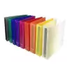 THE PEL CARPETA A4 TRANSLUCIDA 2X40 ( 64062 )