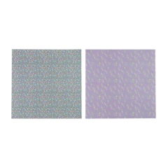 Imagen de IBI CRAFT PAPEL P/SCRAP 30*30cm 160grs 24Hjs LOVEY ( 335282 )