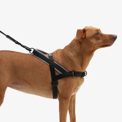 Arnes para Perro Zeedog Gotham SofterWalk Harness Large - tienda en línea