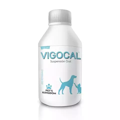 Complemento Multivitamínico Vigocal x 120 ml